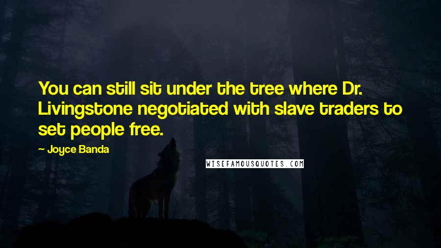 Joyce Banda Quotes: You can still sit under the tree where Dr. Livingstone negotiated with slave traders to set people free.