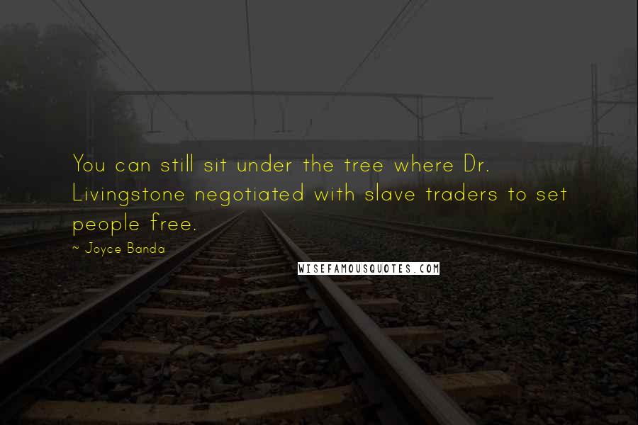 Joyce Banda Quotes: You can still sit under the tree where Dr. Livingstone negotiated with slave traders to set people free.