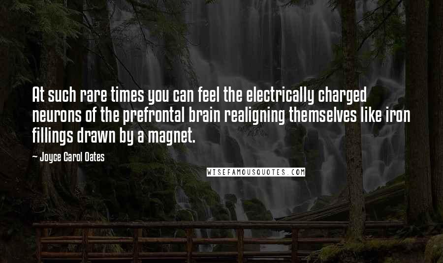 Joyce Carol Oates Quotes: At such rare times you can feel the electrically charged neurons of the prefrontal brain realigning themselves like iron fillings drawn by a magnet.