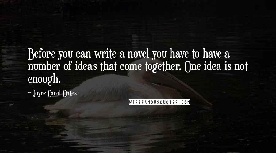 Joyce Carol Oates Quotes: Before you can write a novel you have to have a number of ideas that come together. One idea is not enough.