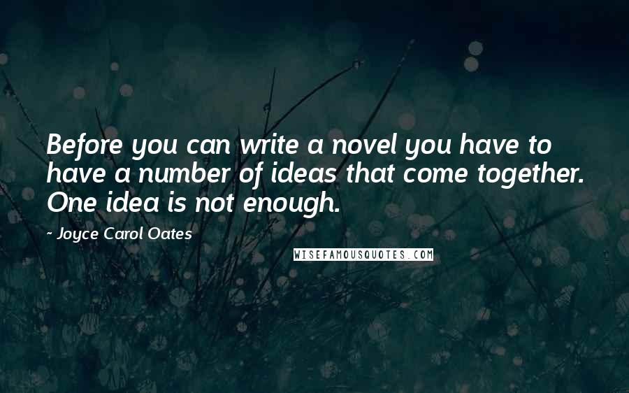 Joyce Carol Oates Quotes: Before you can write a novel you have to have a number of ideas that come together. One idea is not enough.