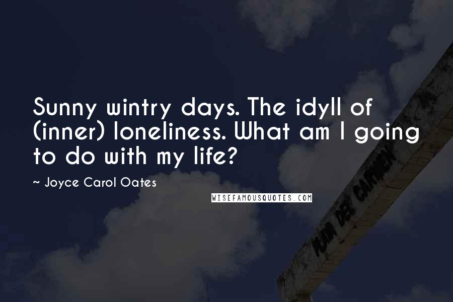 Joyce Carol Oates Quotes: Sunny wintry days. The idyll of (inner) loneliness. What am I going to do with my life?