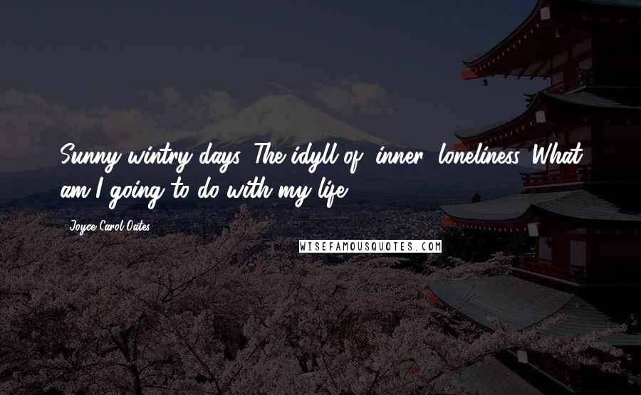 Joyce Carol Oates Quotes: Sunny wintry days. The idyll of (inner) loneliness. What am I going to do with my life?