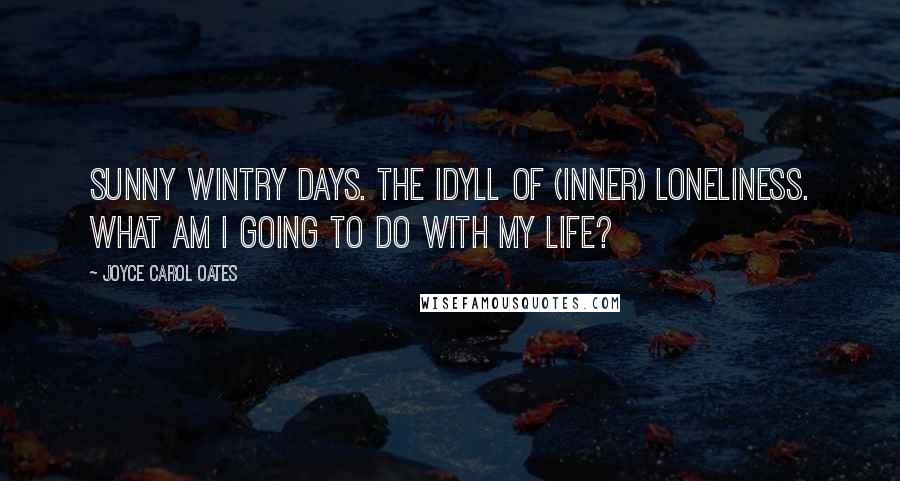 Joyce Carol Oates Quotes: Sunny wintry days. The idyll of (inner) loneliness. What am I going to do with my life?