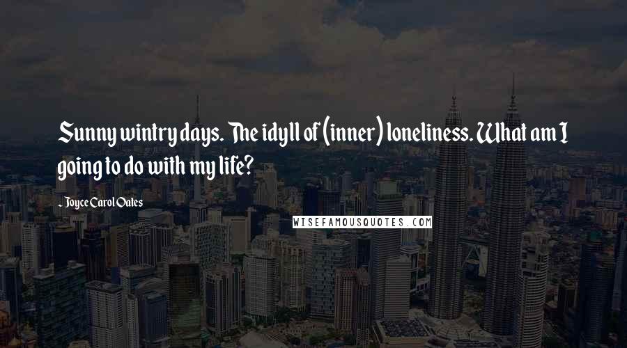 Joyce Carol Oates Quotes: Sunny wintry days. The idyll of (inner) loneliness. What am I going to do with my life?