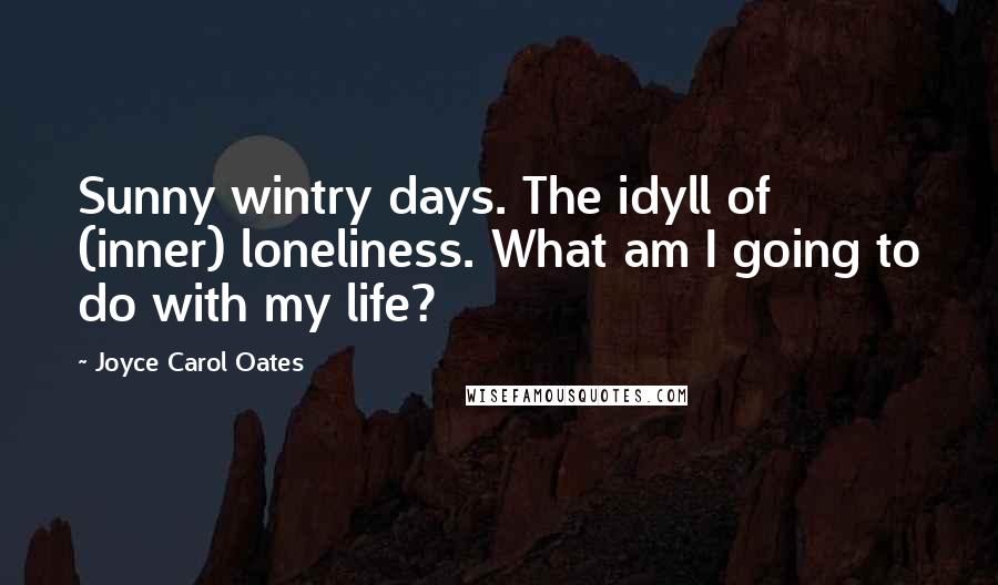 Joyce Carol Oates Quotes: Sunny wintry days. The idyll of (inner) loneliness. What am I going to do with my life?