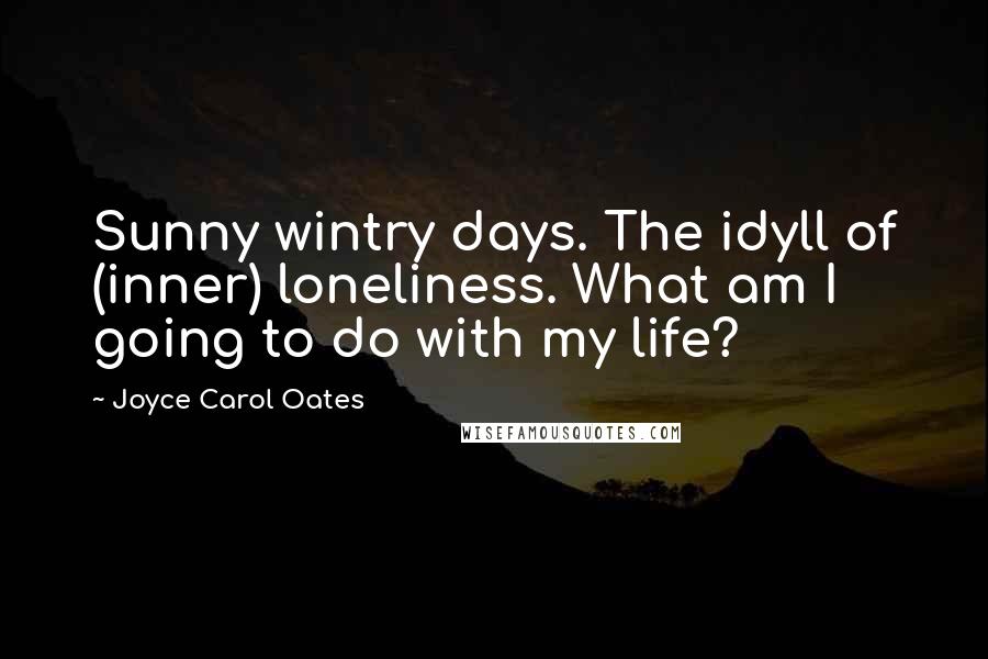 Joyce Carol Oates Quotes: Sunny wintry days. The idyll of (inner) loneliness. What am I going to do with my life?