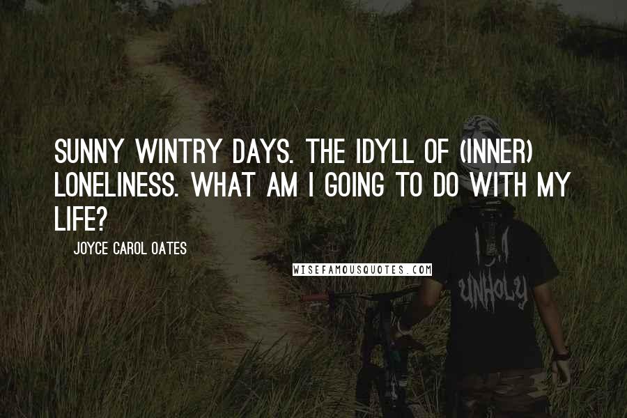 Joyce Carol Oates Quotes: Sunny wintry days. The idyll of (inner) loneliness. What am I going to do with my life?