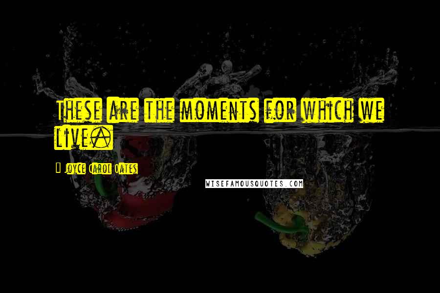 Joyce Carol Oates Quotes: These are the moments for which we live.