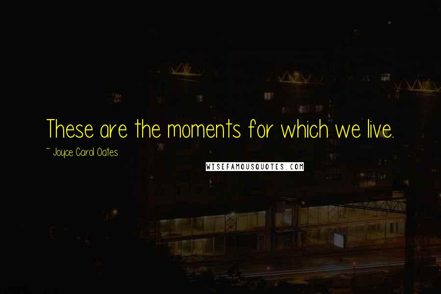 Joyce Carol Oates Quotes: These are the moments for which we live.