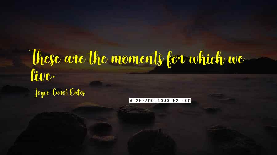 Joyce Carol Oates Quotes: These are the moments for which we live.