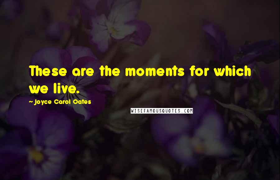 Joyce Carol Oates Quotes: These are the moments for which we live.