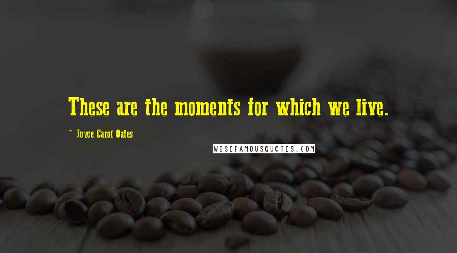 Joyce Carol Oates Quotes: These are the moments for which we live.