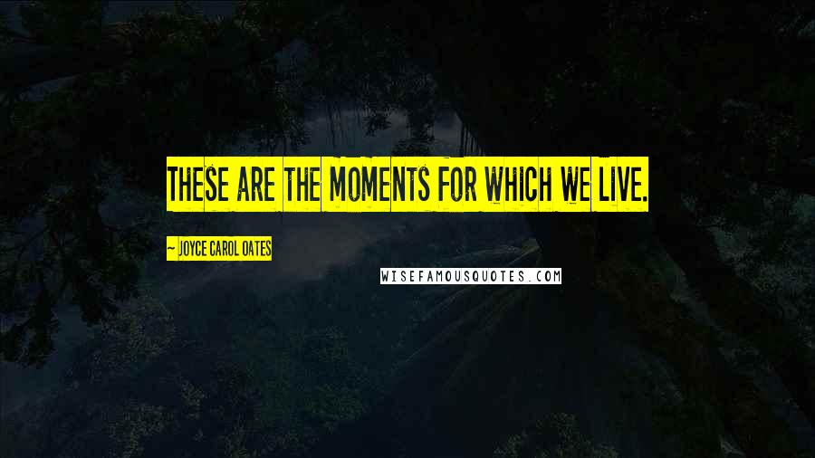 Joyce Carol Oates Quotes: These are the moments for which we live.