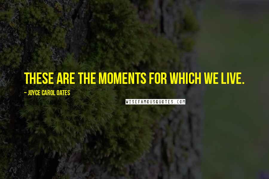 Joyce Carol Oates Quotes: These are the moments for which we live.