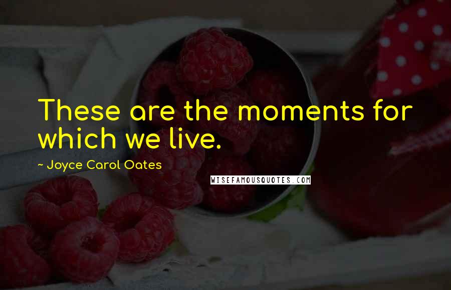 Joyce Carol Oates Quotes: These are the moments for which we live.