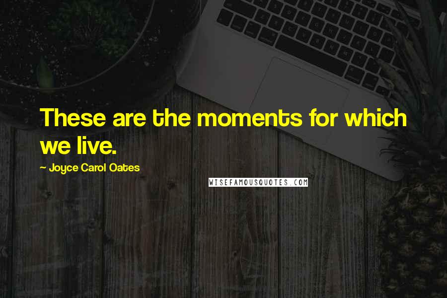 Joyce Carol Oates Quotes: These are the moments for which we live.