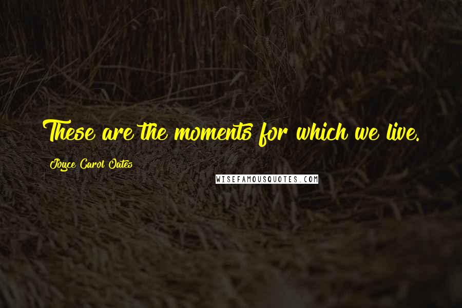 Joyce Carol Oates Quotes: These are the moments for which we live.