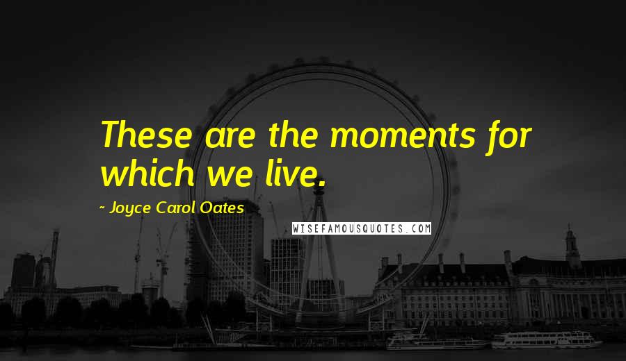 Joyce Carol Oates Quotes: These are the moments for which we live.