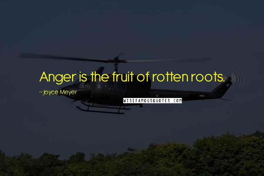 Joyce Meyer Quotes: Anger is the fruit of rotten roots.