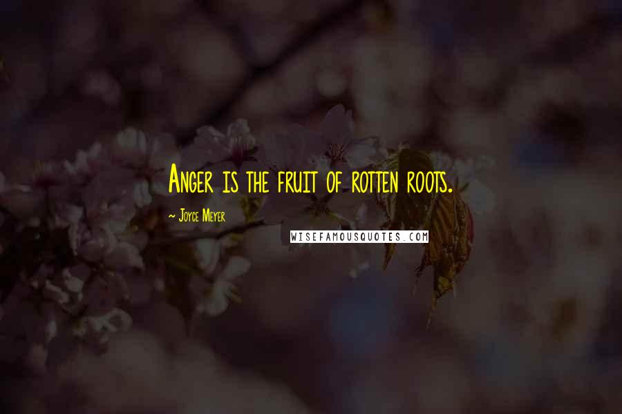 Joyce Meyer Quotes: Anger is the fruit of rotten roots.