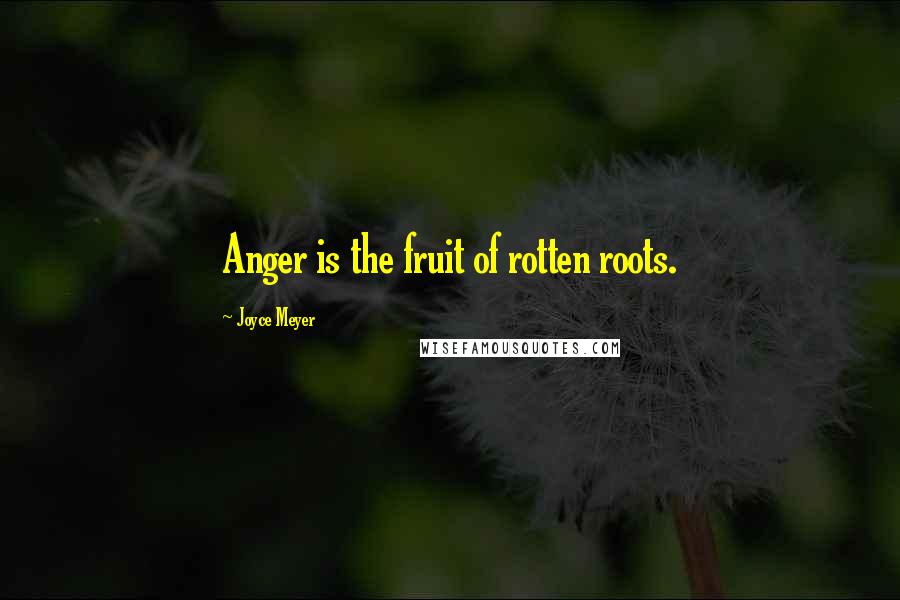 Joyce Meyer Quotes: Anger is the fruit of rotten roots.