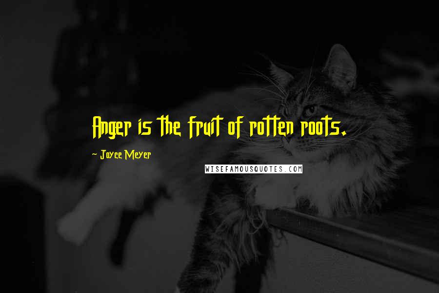 Joyce Meyer Quotes: Anger is the fruit of rotten roots.