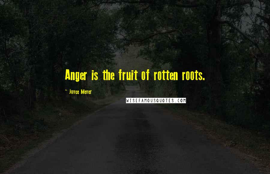 Joyce Meyer Quotes: Anger is the fruit of rotten roots.