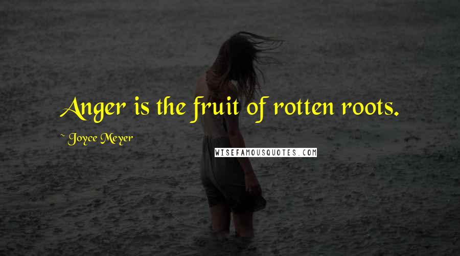 Joyce Meyer Quotes: Anger is the fruit of rotten roots.