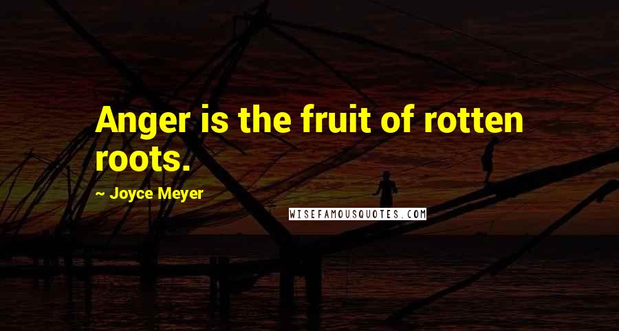 Joyce Meyer Quotes: Anger is the fruit of rotten roots.