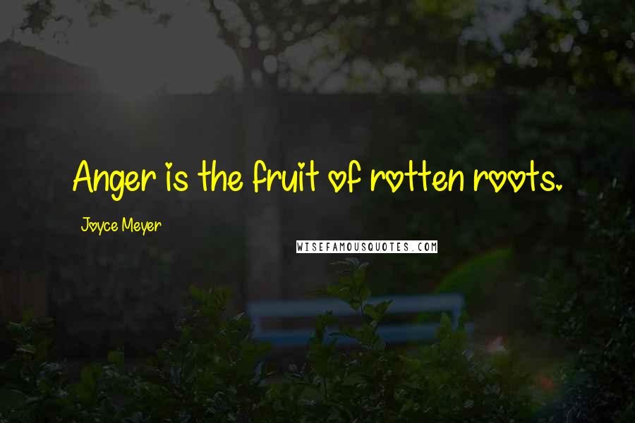 Joyce Meyer Quotes: Anger is the fruit of rotten roots.