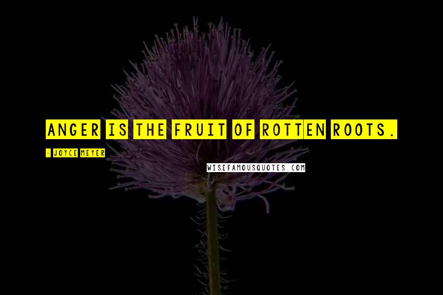 Joyce Meyer Quotes: Anger is the fruit of rotten roots.