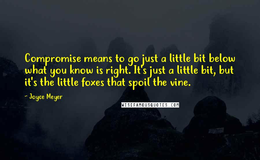 Joyce Meyer Quotes: Compromise means to go just a little bit below what you know is right. It's just a little bit, but it's the little foxes that spoil the vine.
