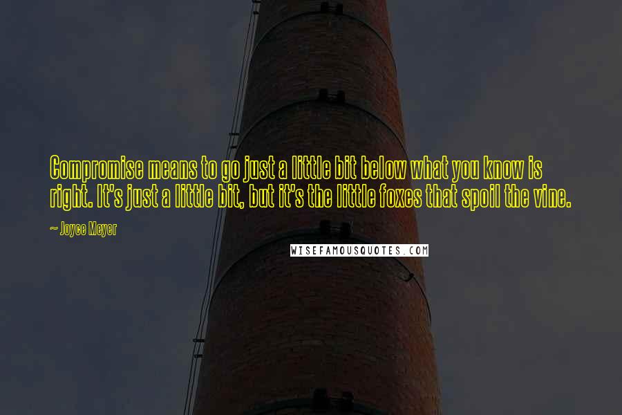 Joyce Meyer Quotes: Compromise means to go just a little bit below what you know is right. It's just a little bit, but it's the little foxes that spoil the vine.