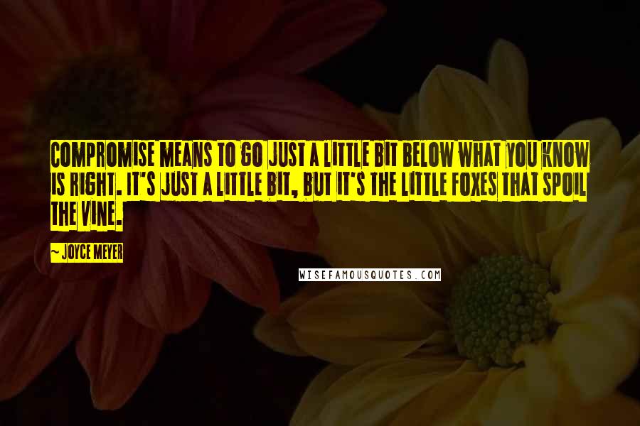 Joyce Meyer Quotes: Compromise means to go just a little bit below what you know is right. It's just a little bit, but it's the little foxes that spoil the vine.