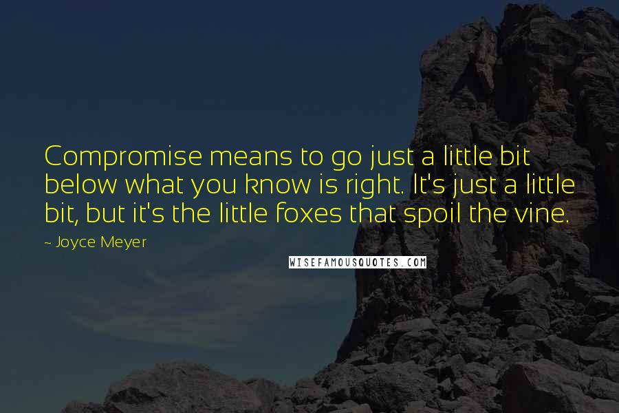 Joyce Meyer Quotes: Compromise means to go just a little bit below what you know is right. It's just a little bit, but it's the little foxes that spoil the vine.