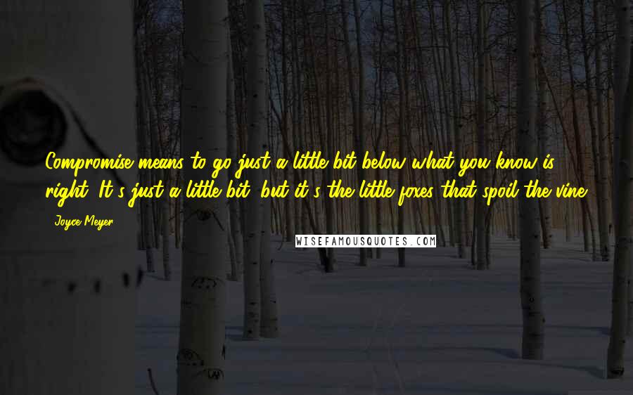 Joyce Meyer Quotes: Compromise means to go just a little bit below what you know is right. It's just a little bit, but it's the little foxes that spoil the vine.