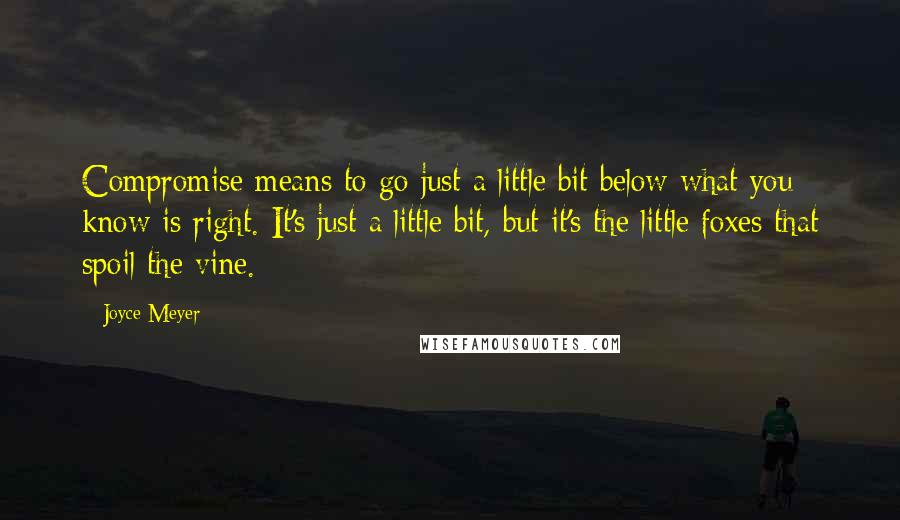 Joyce Meyer Quotes: Compromise means to go just a little bit below what you know is right. It's just a little bit, but it's the little foxes that spoil the vine.