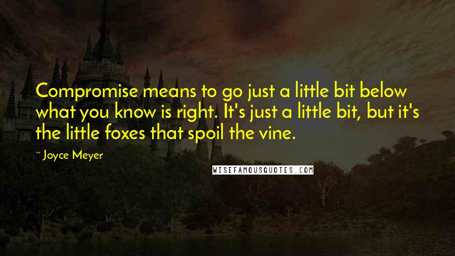 Joyce Meyer Quotes: Compromise means to go just a little bit below what you know is right. It's just a little bit, but it's the little foxes that spoil the vine.