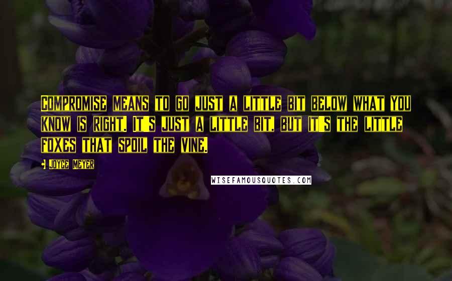 Joyce Meyer Quotes: Compromise means to go just a little bit below what you know is right. It's just a little bit, but it's the little foxes that spoil the vine.