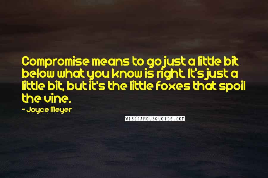 Joyce Meyer Quotes: Compromise means to go just a little bit below what you know is right. It's just a little bit, but it's the little foxes that spoil the vine.