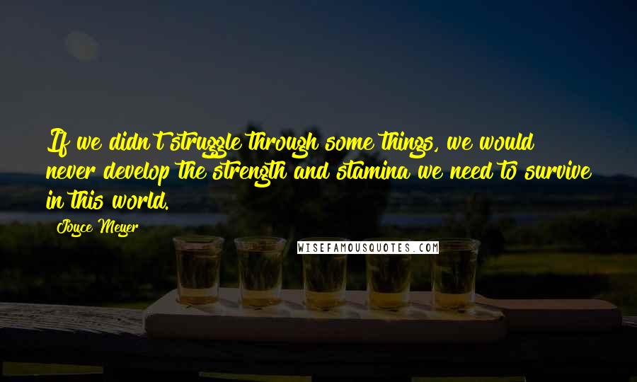 Joyce Meyer Quotes: If we didn't struggle through some things, we would never develop the strength and stamina we need to survive in this world.