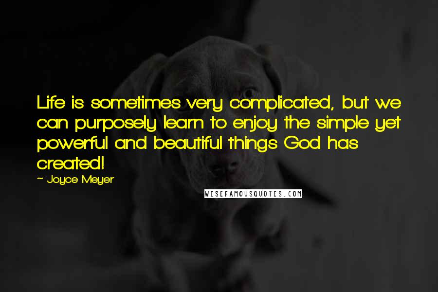 Joyce Meyer Quotes: Life is sometimes very complicated, but we can purposely learn to enjoy the simple yet powerful and beautiful things God has created!