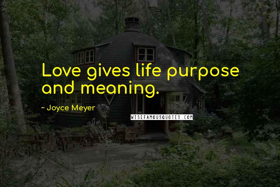 Joyce Meyer Quotes: Love gives life purpose and meaning.