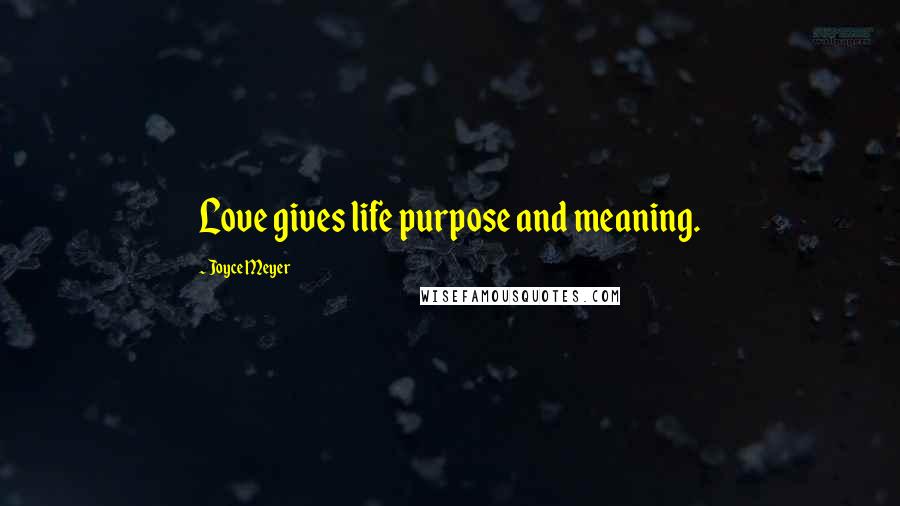 Joyce Meyer Quotes: Love gives life purpose and meaning.