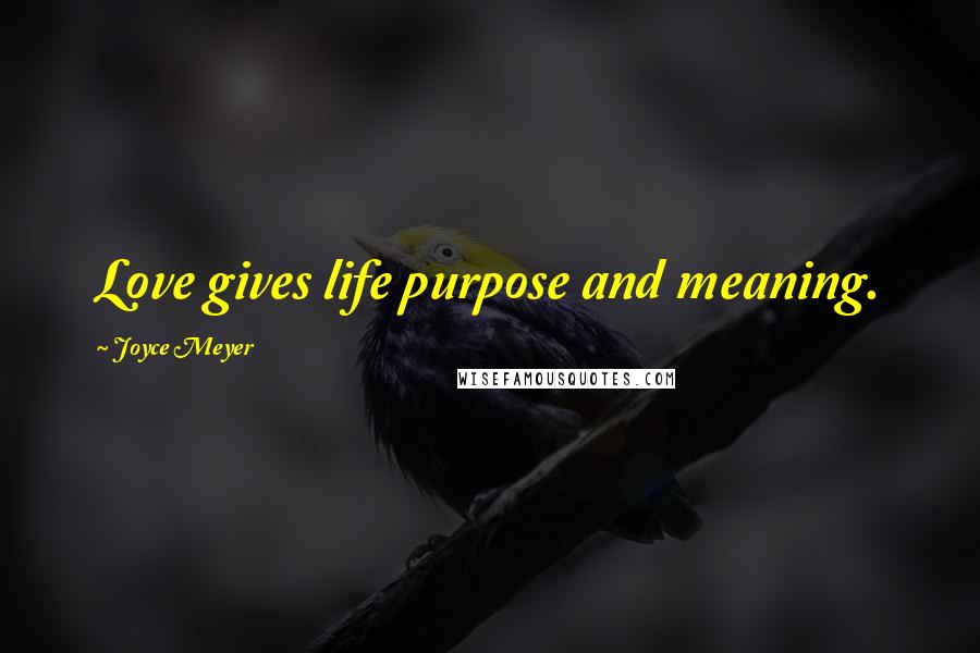 Joyce Meyer Quotes: Love gives life purpose and meaning.