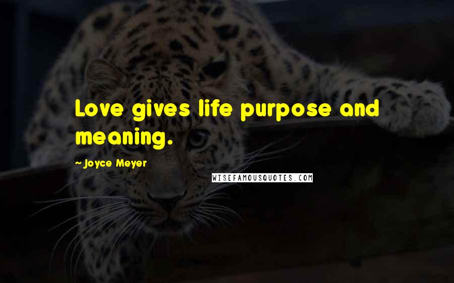 Joyce Meyer Quotes: Love gives life purpose and meaning.