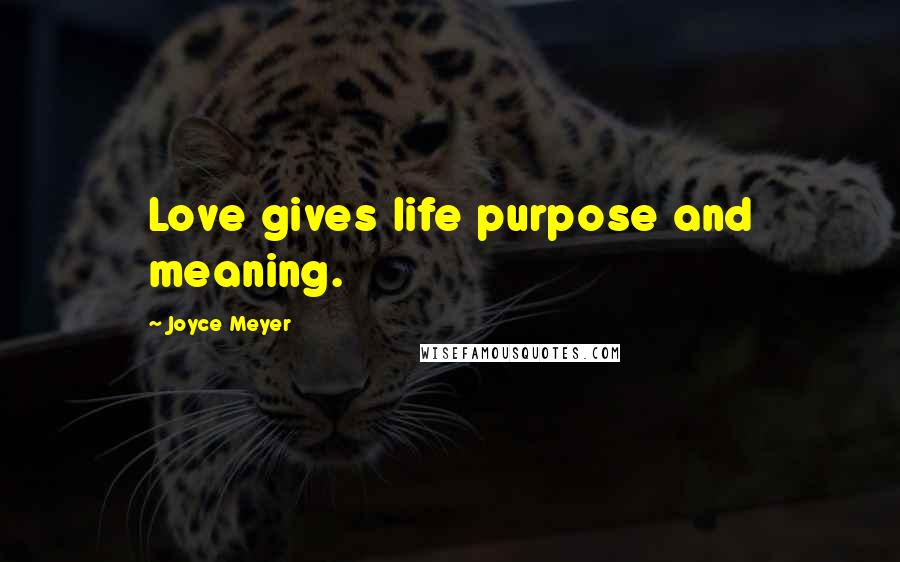 Joyce Meyer Quotes: Love gives life purpose and meaning.