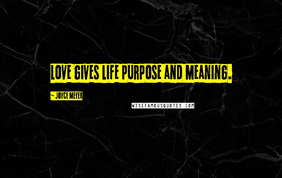 Joyce Meyer Quotes: Love gives life purpose and meaning.