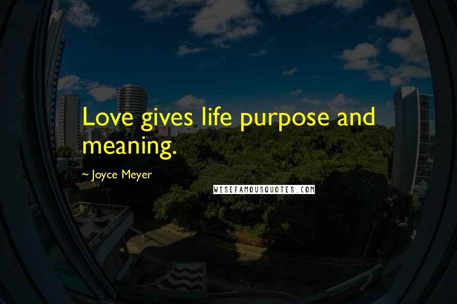 Joyce Meyer Quotes: Love gives life purpose and meaning.